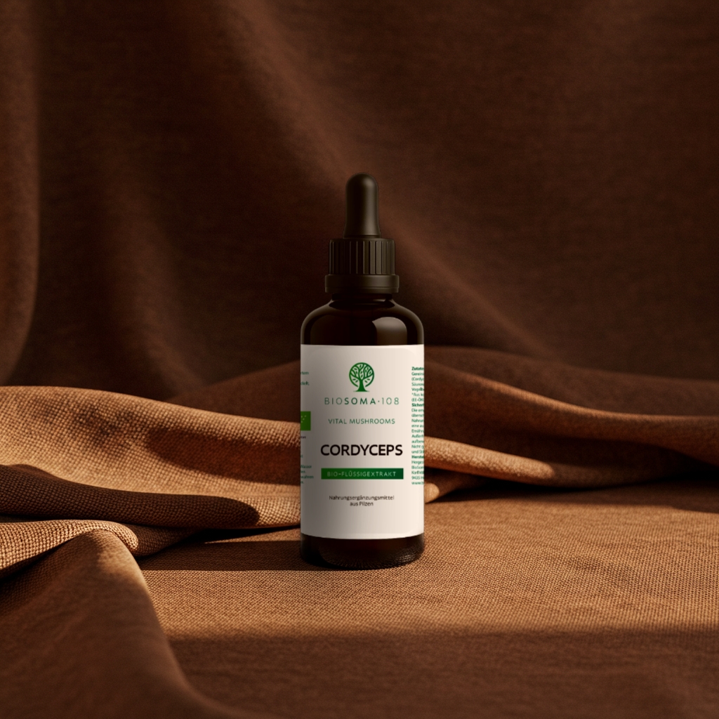 CORDYCEPS Bio-Flüssigextrakt – Bild 3